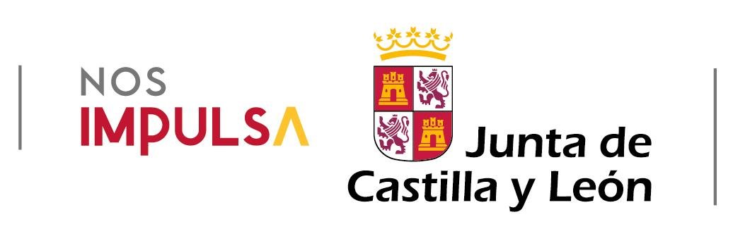 Junta de Castilla y León, Consolidacyl Autoempleo
