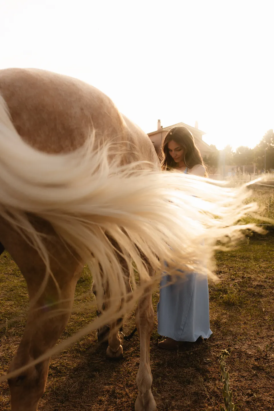 Editorial ecuestre del máster de maquillaje: modelo junto a un caballo a contraluz